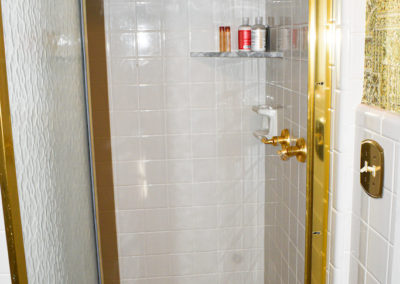 Suite 23 Shower